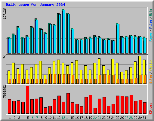 Daily usage for January 2024
