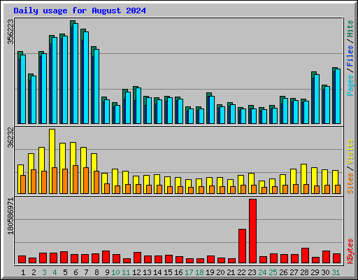 Daily usage for August 2024