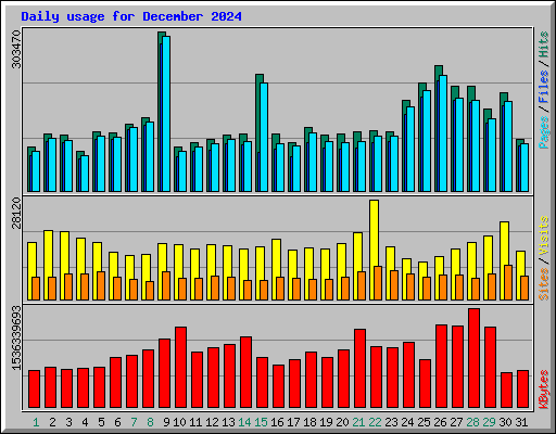Daily usage for December 2024