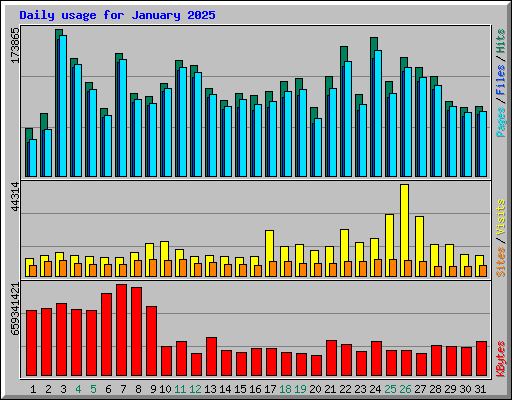 Daily usage for January 2025