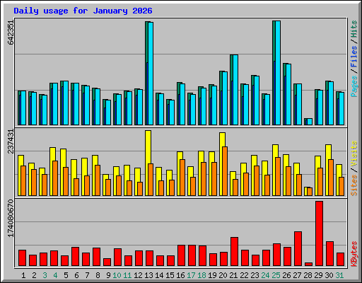 Daily usage for January 2026