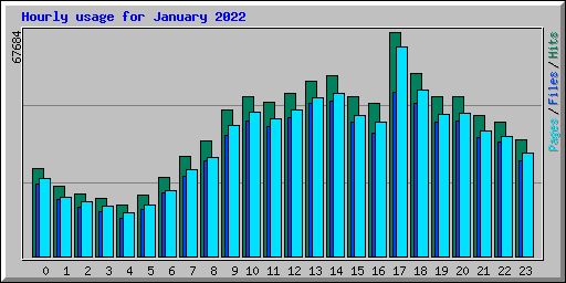Hourly usage for January 2022