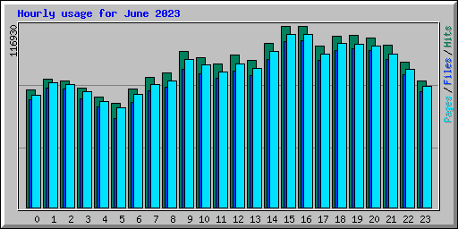 Hourly usage for June 2023