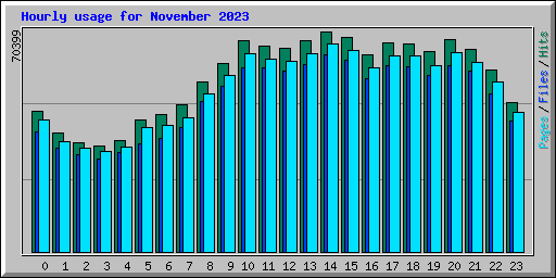 Hourly usage for November 2023