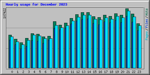 Hourly usage for December 2023