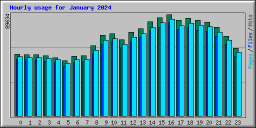 Hourly usage for January 2024