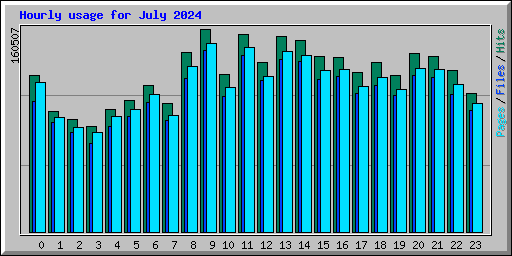 Hourly usage for July 2024