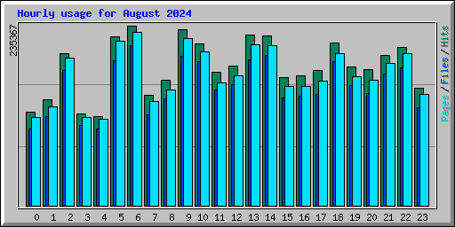 Hourly usage for August 2024