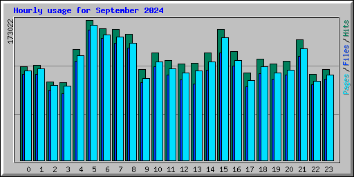 Hourly usage for September 2024