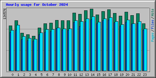 Hourly usage for October 2024
