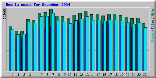 Hourly usage for December 2024