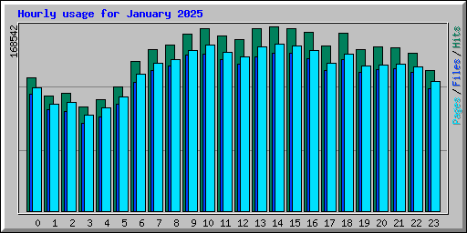 Hourly usage for January 2025