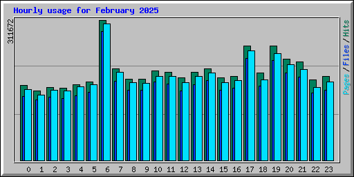 Hourly usage for February 2025