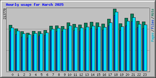 Hourly usage for March 2025