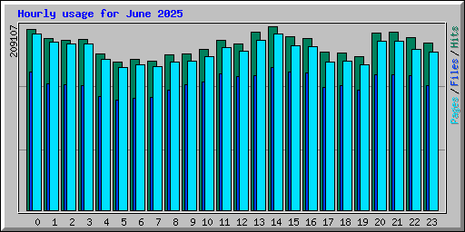 Hourly usage for June 2025