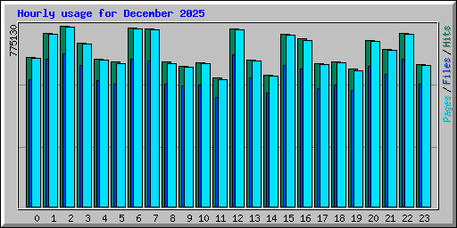 Hourly usage for December 2025