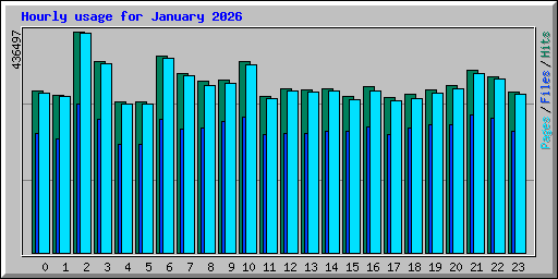 Hourly usage for January 2026